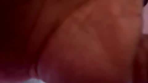 mrfrankfuckforfree online show from March 2026 04:50:01 AM