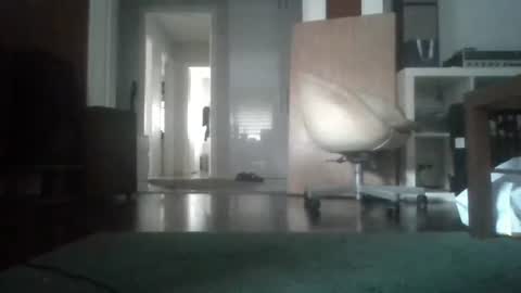 Snapshot of mrhandsomelovee chatting on February 2026 07:03:02 AM Nikola online show from February 2026 07:03:02 AM