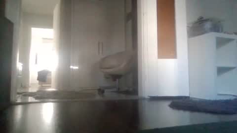 Snapshot of mrhandsomelovee chatting on March 2026 08:20:02 AM Nikola online show from March 2026 08:20:02 AM