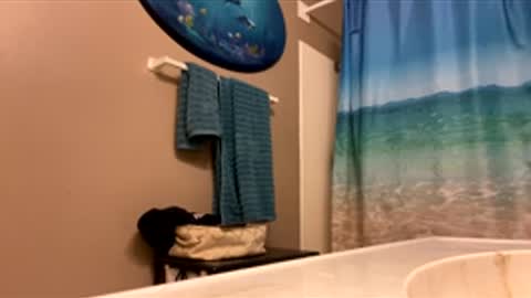 Snapshot of mrmeltyourheart chatting on February 2026 01:59:02 AM James online show from February 2026 01:59:02 AM