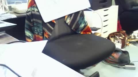 mroldred online show from February 2026 10:07:01 PM