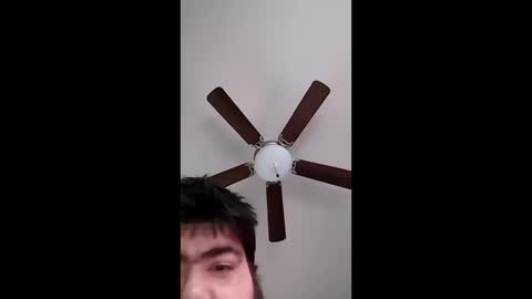 Snapshot of mrorange50187 chatting on December 2024 08:07:02 PM mrorange50187 online show from December 2024 08:07:02 PM