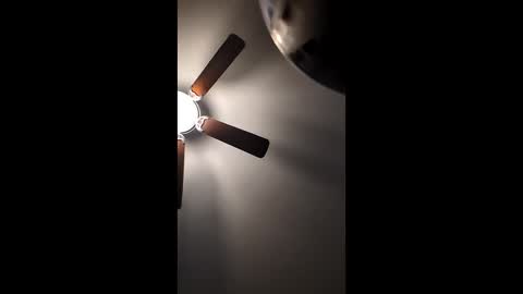 Snapshot of mrorange50187 chatting on December 2024 01:11:02 PM mrorange50187 online show from December 2024 01:11:02 PM