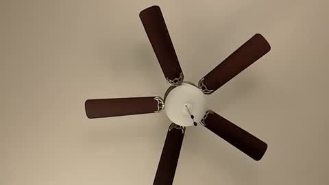 Snapshot of mrorange50187 chatting on January 2025 05:48:01 PM mrorange50187 online show from January 2025 05:48:01 PM