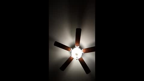 Snapshot of mrorange50187 chatting on January 2025 11:30:01 PM mrorange50187 online show from January 2025 11:30:01 PM