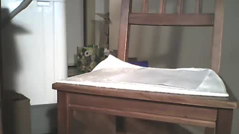 Snapshot of mrroarke chatting on December 2024 03:44:01 AM Longshot online show from December 2024 03:44:01 AM