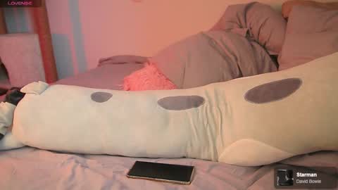 Allison online show from March 2026 08:47:02 AM