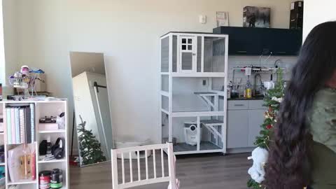 Snapshot of ms_mochii chatting on October 2025 06:35:02 PM R o r i SnapChat heyroriv2 wednesday - sunday Noon oclock mountain - 5pm mountain online show from October 2025 06:35:02 PM