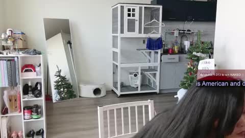 Snapshot of ms_mochii chatting on November 2025 06:21:01 PM R o r i SnapChat heyroriv2 wednesday - sunday Noon oclock mountain - 5pm mountain online show from November 2025 06:21:01 PM