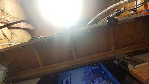 Snapshot of msivy8117 chatting on February 2026 12:19:01 PM Msivy online show from February 2026 12:19:01 PM