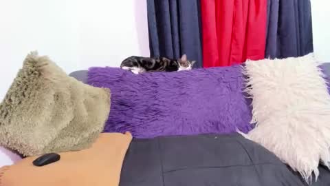 Miss Justine online show from October 2025 01:17:01 AM