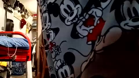 Snapshot of muddflapz chatting on October 2025 10:56:01 AM muddflapz online show from October 2025 10:56:01 AM