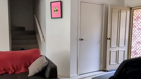 mudjimba online show from December 2024 10:56:02 PM