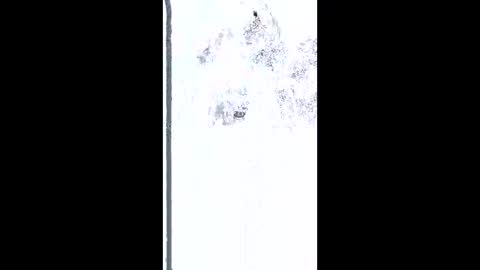 mudjimba online show from February 2026 05:17:01 AM