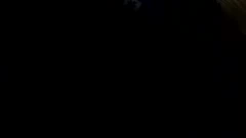 Freakyt online show from May 2026 10:59:02 PM