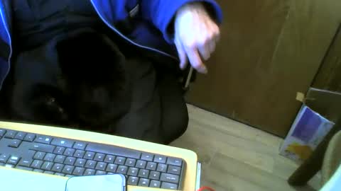 muller520 online show from January 2025 05:37:01 PM