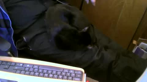 Snapshot of muller520 chatting on February 2025 06:48:02 PM muller520 online show from February 2025 06:48:02 PM