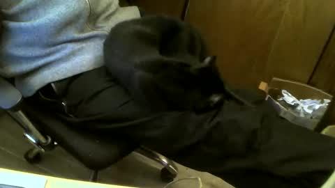 Snapshot of muller520 chatting on February 2025 05:06:01 PM muller520 online show from February 2025 05:06:01 PM