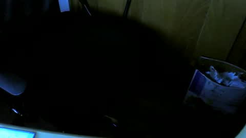 Snapshot of muller520 chatting on February 2025 07:54:01 PM muller520 online show from February 2025 07:54:01 PM