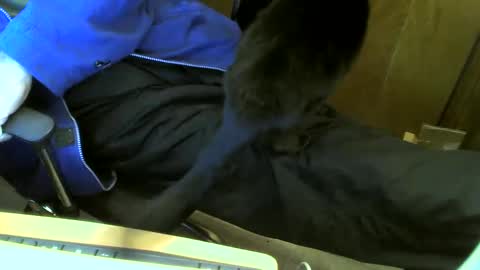 Snapshot of muller520 chatting on February 2025 03:18:02 PM muller520 online show from February 2025 03:18:02 PM