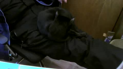 Snapshot of muller520 chatting on February 2025 03:41:02 PM muller520 online show from February 2025 03:41:02 PM