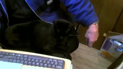 Snapshot of muller520 chatting on February 2025 05:26:02 PM muller520 online show from February 2025 05:26:02 PM