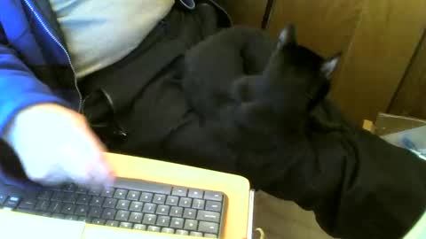 Snapshot of muller520 chatting on March 2025 11:39:02 AM muller520 online show from March 2025 11:39:02 AM