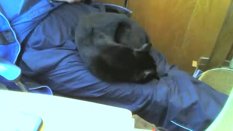 Snapshot of muller520 chatting on September 2025 02:50:01 PM muller520 online show from September 2025 02:50:01 PM