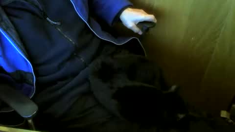 Snapshot of muller520 chatting on January 2026 02:52:02 PM muller520 online show from January 2026 02:52:02 PM