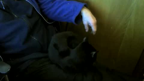 Snapshot of muller520 chatting on January 2026 04:21:02 PM muller520 online show from January 2026 04:21:02 PM