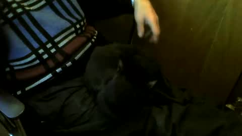 muller520 online show from March 2026 04:34:02 PM