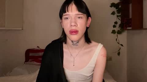 Polik online show from October 2025 06:41:02 PM