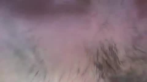 musclehair3 online show from July 2026 08:11:01 PM