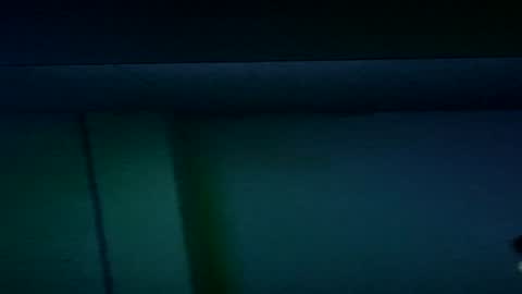 Hulk Muscles - NEW ACCOUNT online show from July 2026 12:26:01 AM