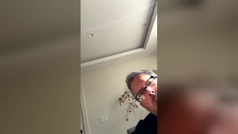 mwest12345 online show from May 2026 10:27:01 PM