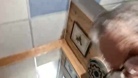 mymyselfandme online show from November 2025 06:03:01 AM