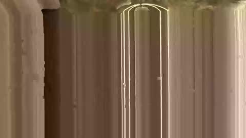 Snapshot of mypleasure001 chatting on November 2025 03:12:01 PM Ricky online show from November 2025 03:12:01 PM