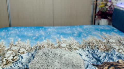 Snapshot of myrabelle24 chatting on March 2025 10:44:02 AM Myrabelle24 online show from March 2025 10:44:02 AM