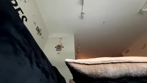   Mystery   online show from May 2026 04:01:01 PM