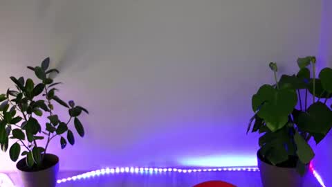  Eve  online show from October 2025 10:30:01 PM