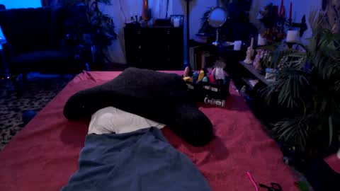 Snapshot of mzjadenyxxx chatting on September 2025 04:26:01 AM Jade Nyxxx online show from September 2025 04:26:01 AM