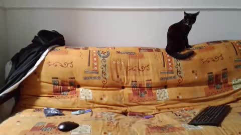 Snapshot of n_ordinary_boy chatting on February 2026 02:19:01 AM a Ordinary Boy online show from February 2026 02:19:01 AM