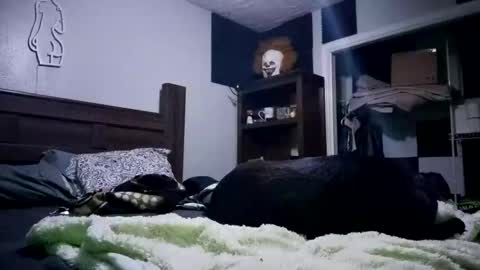 nackjamesontag69 online show from February 2026 09:35:02 AM