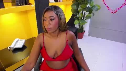     online show from July 2026 12:12:02 PM