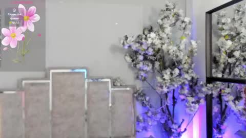 nahomycarterr online show from May 2026 11:37:01 AM