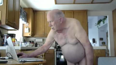 Snapshot of naked_male_slave chatting on December 2024 09:31:02 PM Roger online show from December 2024 09:31:02 PM