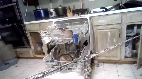 nakednate1780 online show from March 2025 07:32:02 AM