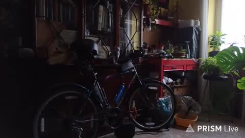 Naked Naturist online show from February 2026 10:44:02 AM