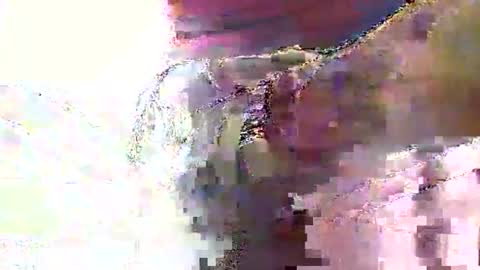 Nane online show from June 2026 08:30:01 AM