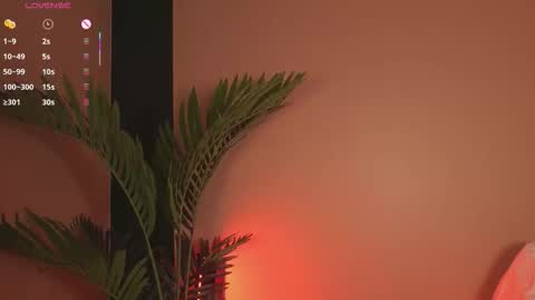 nanis_dash online show from December 2025 07:32:01 PM